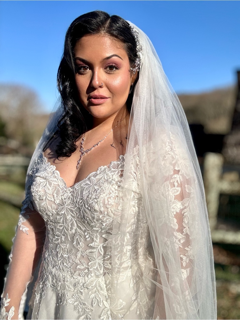 Stella York Lace V-Neck Long-Sleeve A-Line Wedding Dress and Veil